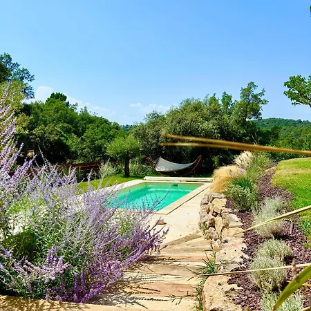 Modern With Pool & Garden Saint-aygulf