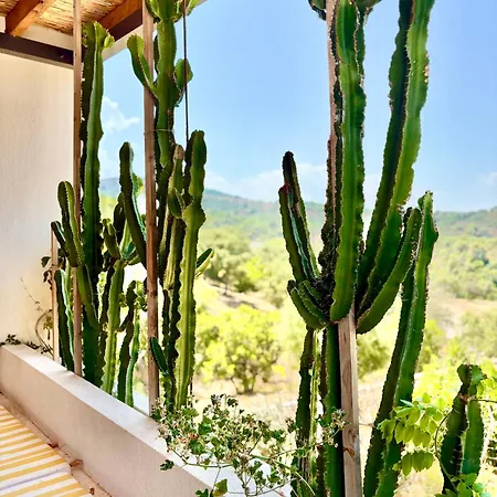 Modern With Pool & Garden Saint-aygulf Villa Saint Aygulf