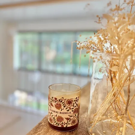 Modern With Pool & Garden Saint-aygulf 别墅 *